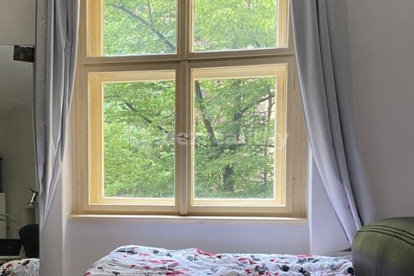 1 bedroom with open-plan kitchen flat to rent, 52 m², Seifertova, Praha 1 bedroom with open-plan kitchen flat to rent, 52 m², Seifertova, Praha