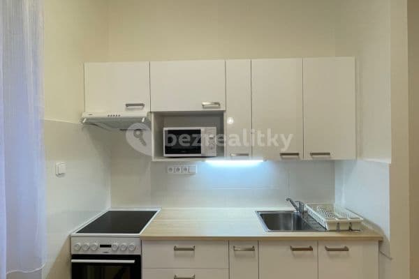 1 bedroom with open-plan kitchen flat to rent, 42 m², Štěpánská, Praha 1 bedroom with open-plan kitchen flat to rent, 42 m², Štěpánská, Praha