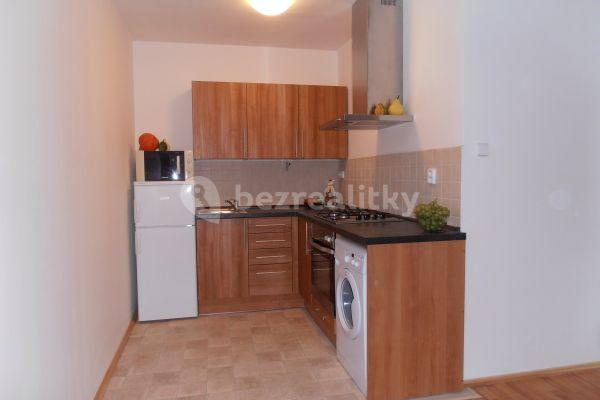 1 bedroom with open-plan kitchen flat to rent, 41 m², Na strži, 