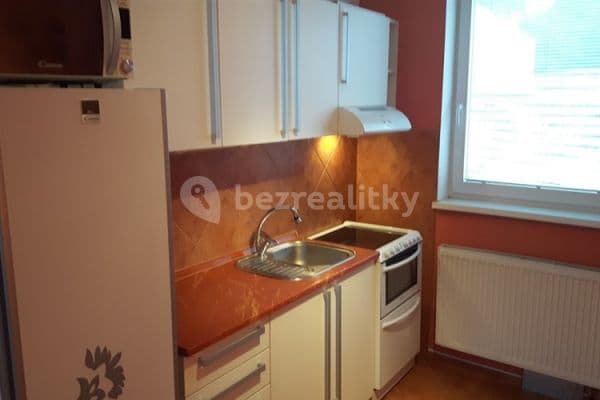 1 bedroom with open-plan kitchen flat to rent, 59 m², Kroupova, 