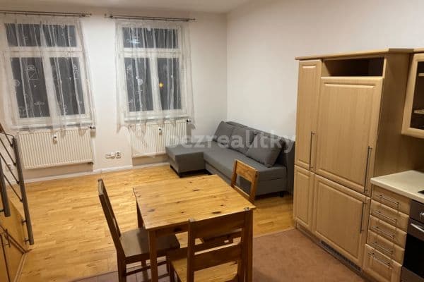 1 bedroom with open-plan kitchen flat to rent, 50 m², Rybalkova, Praha 1 bedroom with open-plan kitchen flat to rent, 50 m², Rybalkova, Praha