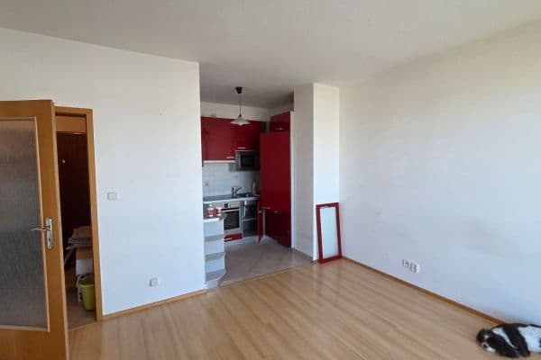 1 bedroom with open-plan kitchen flat to rent, 40 m², Holubí, 1 bedroom with open-plan kitchen flat to rent, 40 m², Holubí,