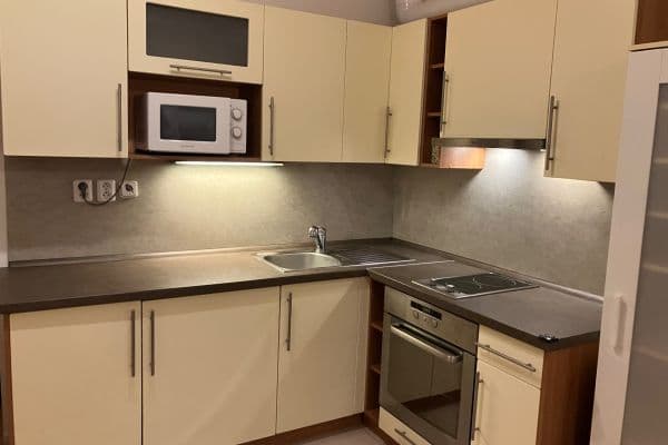 Studio flat to rent, 27 m², Purkyňova, Studio flat to rent, 27 m², Purkyňova,