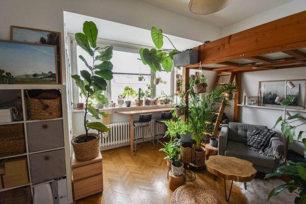 Studio flat to rent, 28 m², Botanická, Brno