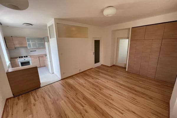 1 bedroom with open-plan kitchen flat to rent, 55 m², Tejnická, 1 bedroom with open-plan kitchen flat to rent, 55 m², Tejnická,