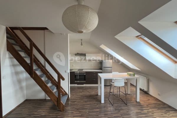 1 bedroom with open-plan kitchen flat to rent, 45 m², Zbraslavská, Praha 1 bedroom with open-plan kitchen flat to rent, 45 m², Zbraslavská, Praha