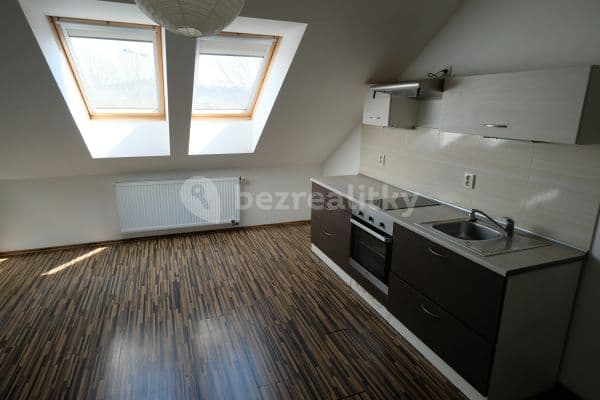 1 bedroom with open-plan kitchen flat to rent, 35 m², Wassermanova, Praha
