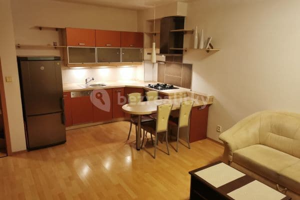 1 bedroom with open-plan kitchen flat to rent, 49 m², Winklerova, Praha