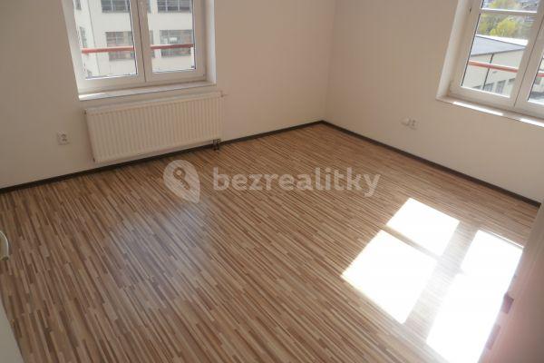 1 bedroom with open-plan kitchen flat to rent, 54 m², Pivovarnická, Prague, Prague