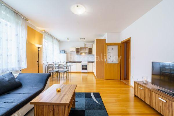 1 bedroom with open-plan kitchen flat to rent, 60 m², Kovanecká, 