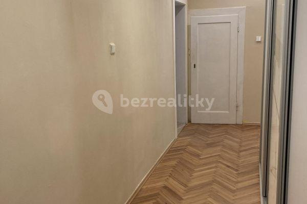 1 bedroom with open-plan kitchen flat to rent, 60 m², Oblouková, 