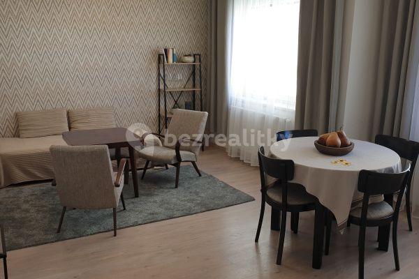 1 bedroom with open-plan kitchen flat to rent, 46 m², Kounicova, 