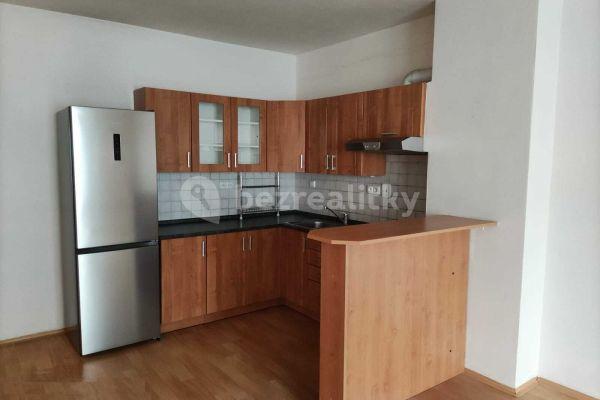 1 bedroom with open-plan kitchen flat to rent, 56 m², Zderadova, Brno
