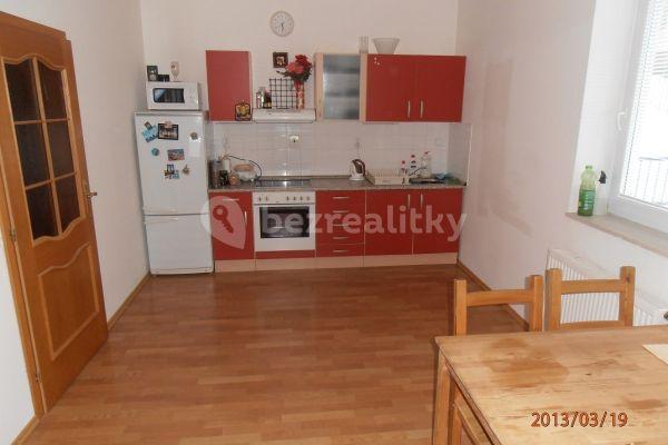 1 bedroom with open-plan kitchen flat to rent, 55 m², Petra Křivky, Brno-Nový Lískovec