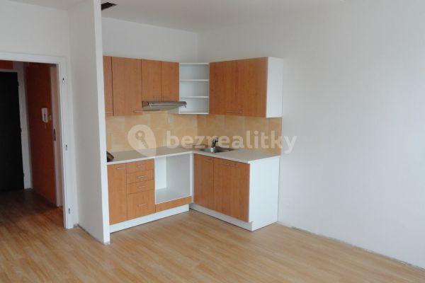1 bedroom with open-plan kitchen flat to rent, 47 m², Poljanovova, Prague, Prague