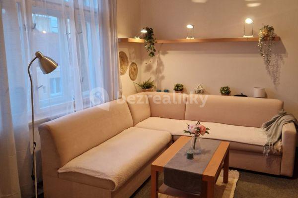 1 bedroom with open-plan kitchen flat to rent, 55 m², U skládky, 