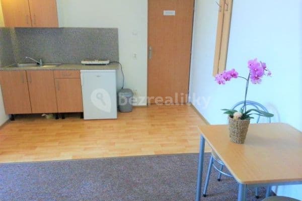 Studio flat to rent, 28 m², Třešňová, Praha Studio flat to rent, 28 m², Třešňová, Praha