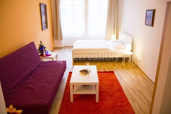 1 bedroom with open-plan kitchen flat to rent, 42 m², Lidická, Prague, Prague