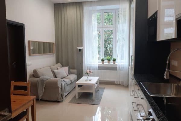 1 bedroom with open-plan kitchen flat to rent, 54 m², Nuselská, Praha 1 bedroom with open-plan kitchen flat to rent, 54 m², Nuselská, Praha