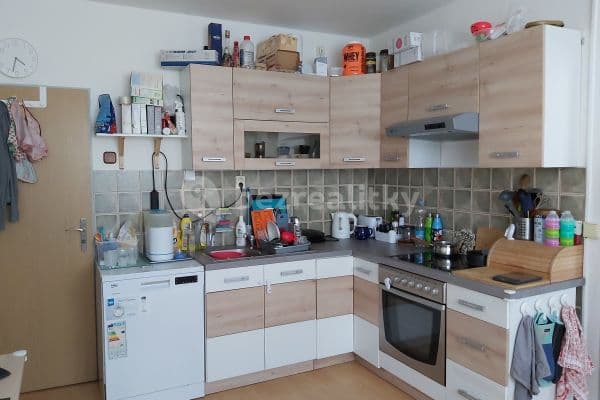 1 bedroom with open-plan kitchen flat to rent, 46 m², třída Generála Píky, Brno, Jihomoravský Region