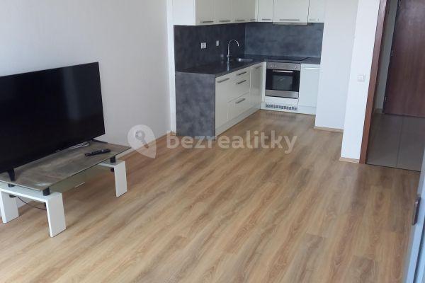 1 bedroom with open-plan kitchen flat to rent, 55 m², Nárožní, Praha