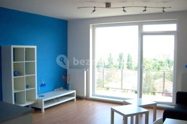 1 bedroom with open-plan kitchen flat to rent, 50 m², Otradovická, 