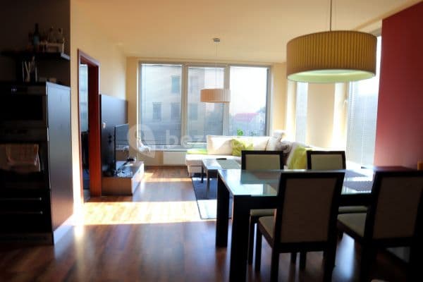 1 bedroom with open-plan kitchen flat to rent, 65 m², Majdalenky, Brno
