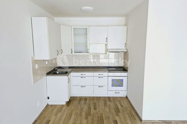 1 bedroom with open-plan kitchen flat to rent, 51 m², Cukrovarská, Židlochovice