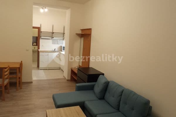 1 bedroom with open-plan kitchen flat to rent, 44 m², Bělehradská, Praha