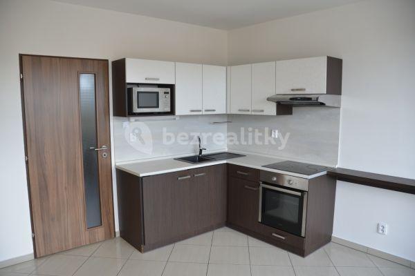 1 bedroom with open-plan kitchen flat to rent, 42 m², Svitavská, 