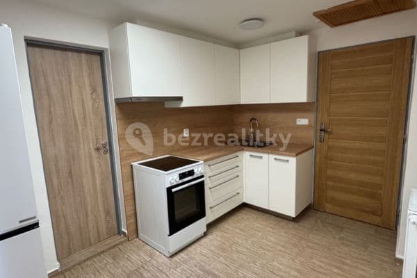 2 bedroom flat to rent, 62 m², Dělnická, 