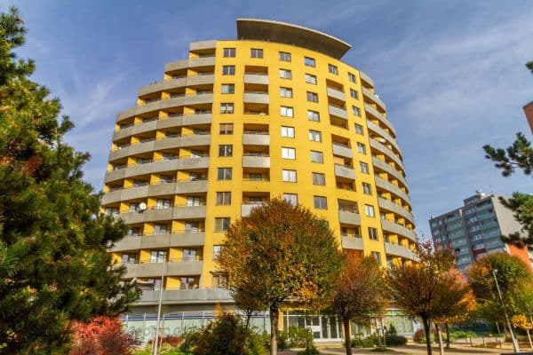 Flat to rent Flat to rent