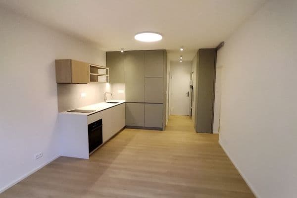1 bedroom with open-plan kitchen flat to rent, 32 m², Daškova, 1 bedroom with open-plan kitchen flat to rent, 32 m², Daškova,