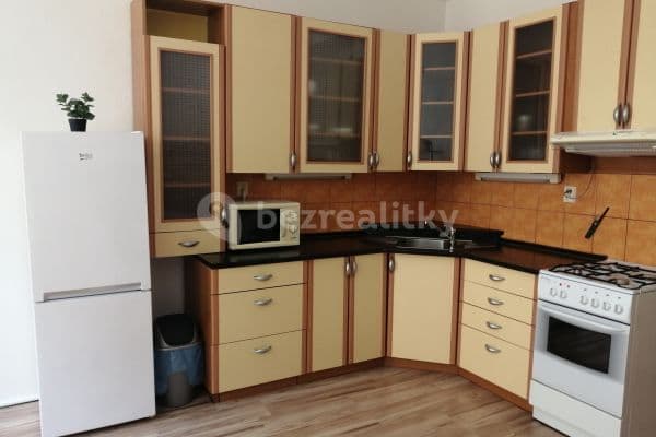 1 bedroom with open-plan kitchen flat to rent, 50 m², Bořivojova, Prague, Prague