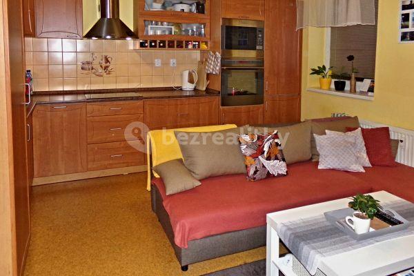 1 bedroom with open-plan kitchen flat to rent, 43 m², Jihlava, Vysočina Region