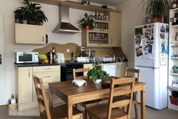 1 bedroom with open-plan kitchen flat to rent, 54 m², Trnkovo náměstí, Praha 1 bedroom with open-plan kitchen flat to rent, 54 m², Trnkovo náměstí, Praha