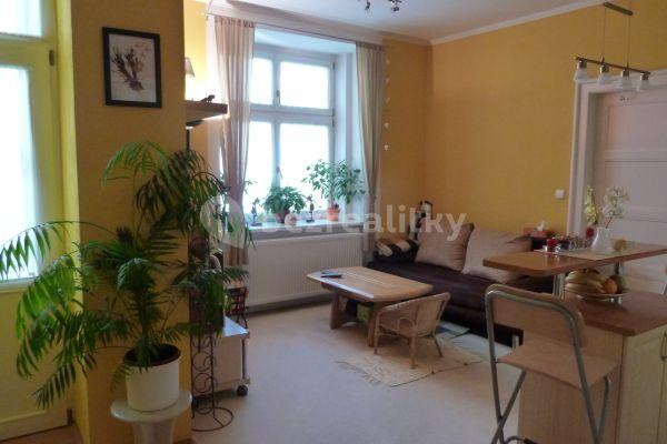 1 bedroom with open-plan kitchen flat to rent, 50 m², Pod sokolovnou, 