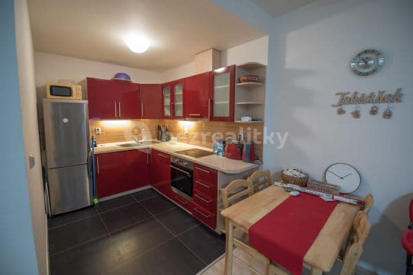 1 bedroom with open-plan kitchen flat to rent, 55 m², U Leskavy, Brno