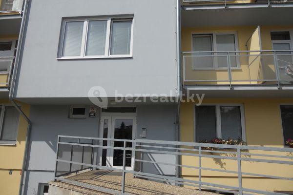 1 bedroom with open-plan kitchen flat to rent, 44 m², 