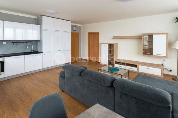 3 bedroom with open-plan kitchen flat to rent, 110 m², Prague, Prague