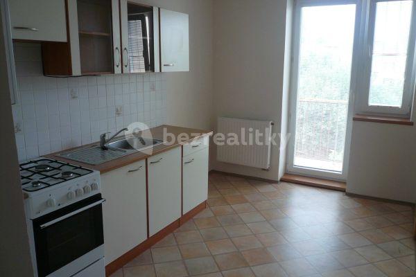 1 bedroom with open-plan kitchen flat to rent, 55 m², Mrkosova, 