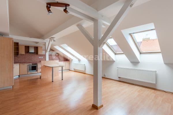 3 bedroom with open-plan kitchen flat to rent, 145 m², Moravská, Prague, Prague