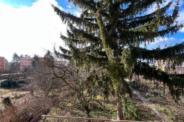 1 bedroom flat to rent, 36 m², Tilhonova, Slatina 1 bedroom flat to rent, 36 m², Tilhonova, Slatina