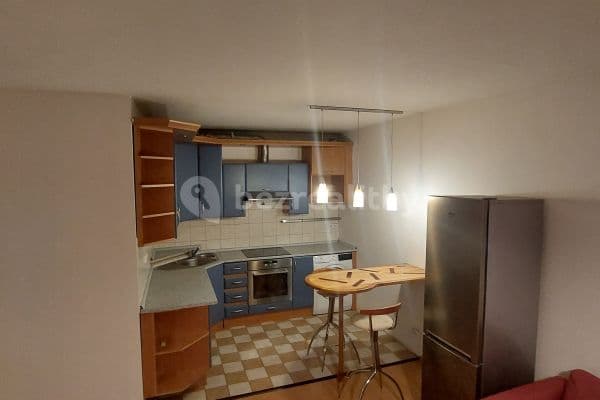 1 bedroom with open-plan kitchen flat to rent, 50 m², Hnězdenská, 1 bedroom with open-plan kitchen flat to rent, 50 m², Hnězdenská,