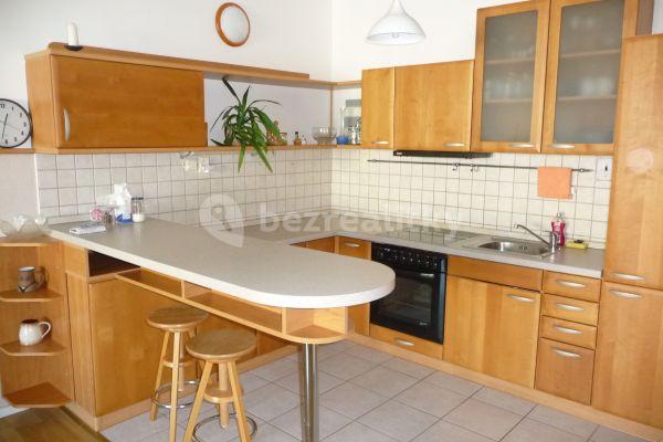 1 bedroom with open-plan kitchen flat to rent, 54 m², Brno