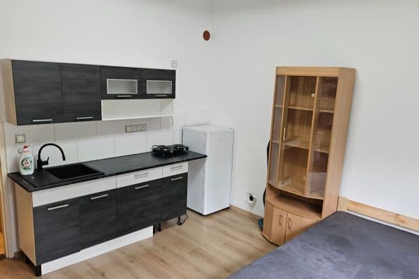 Small studio flat to rent, 24 m², Jeseniova, Small studio flat to rent, 24 m², Jeseniova,
