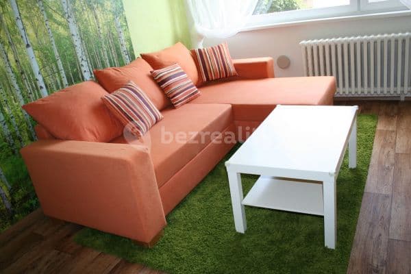1 bedroom with open-plan kitchen flat to rent, 44 m², Budovcova, 