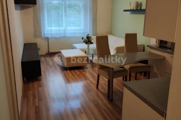 1 bedroom with open-plan kitchen flat to rent, 47 m², Pod Zvonařkou, 