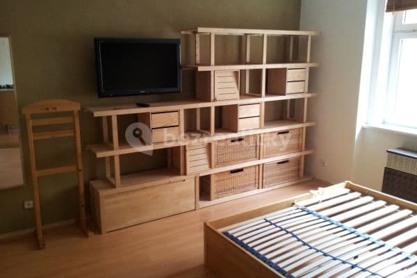 1 bedroom with open-plan kitchen flat to rent, 43 m², Pod lázní, 