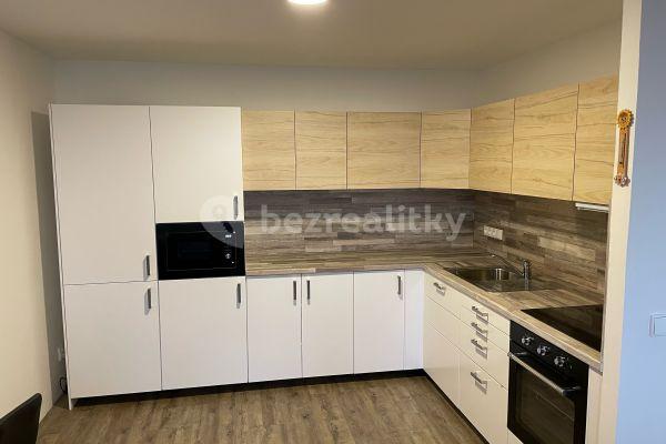 1 bedroom with open-plan kitchen flat to rent, 48 m², Brno, Jihomoravský Region